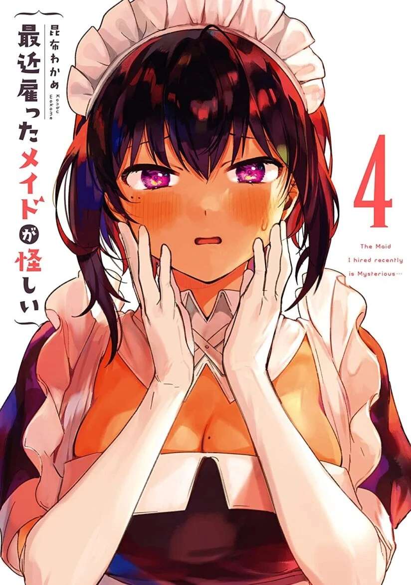 My Recently Hired Maid Is Suspicious (Serialization)