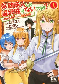 Dorei Shounin Shika Sentakushi Ga Nai Desu Yo? ~Harem? Nani Sore Oishii No?~